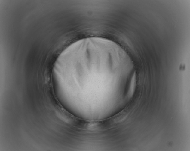 X0000091990173200709271455