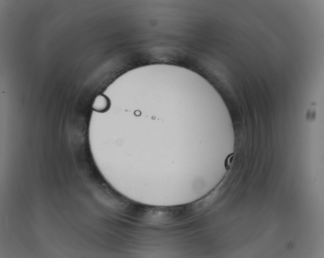 X0000091990174200709271455