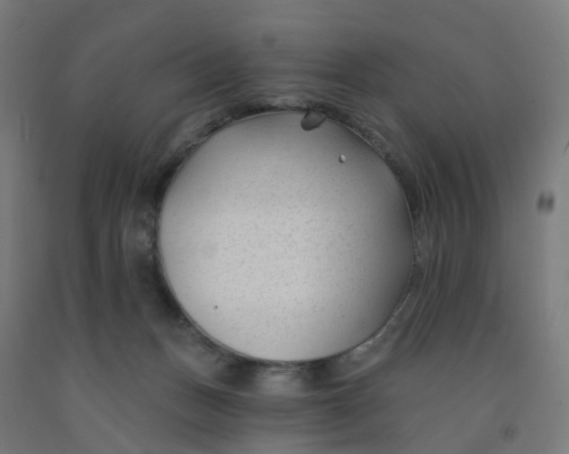 X0000091990175200709271455