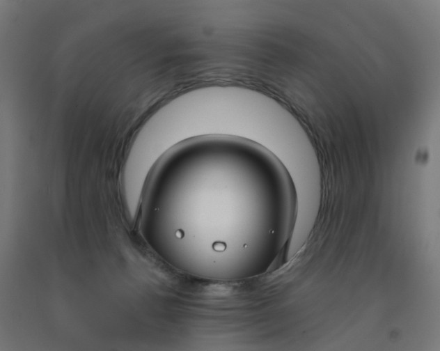 X0000091990176200709271455