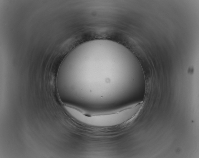 X0000091990178200709271455