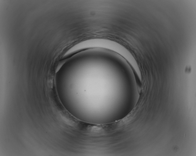 X0000091990180200709271455