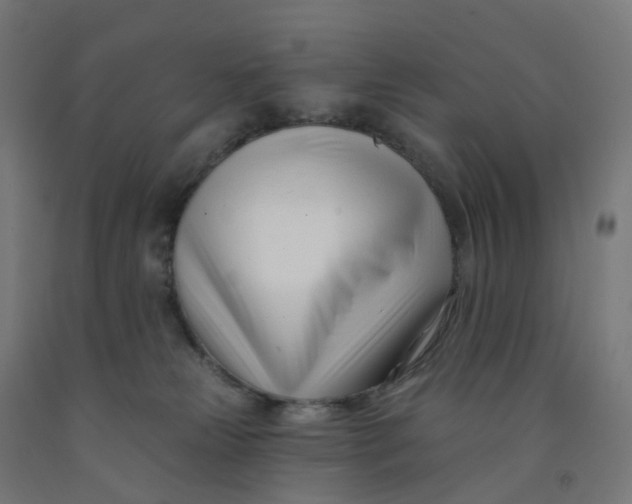 X0000091990181200709271455