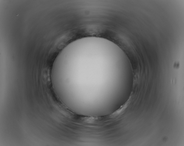 X0000091990182200709271455