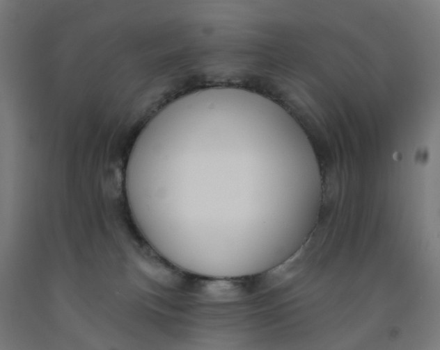 X0000091990183200709271455