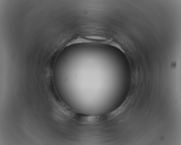 X0000091990184200709271455