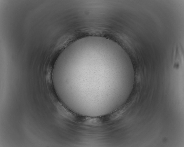 X0000091990185200709271455