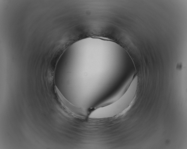 X0000091990186200709271455