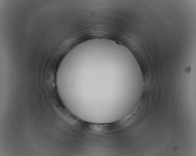 X0000091990187200709271455