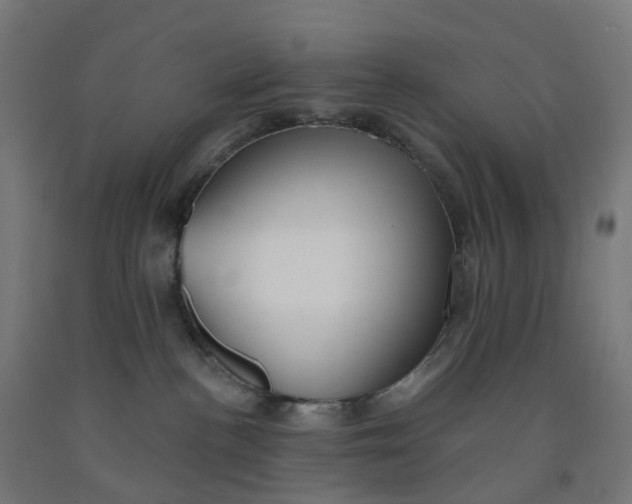 X0000091990188200709271455