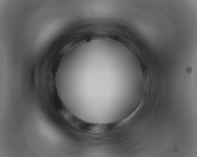 X0000091990191200709271455