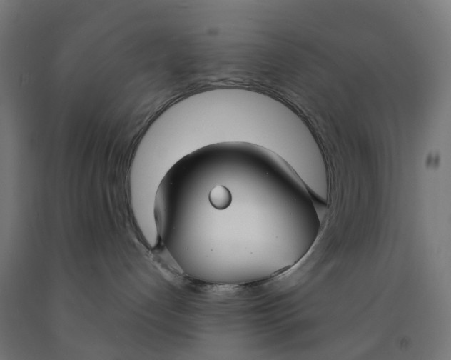 X0000091990192200709271455