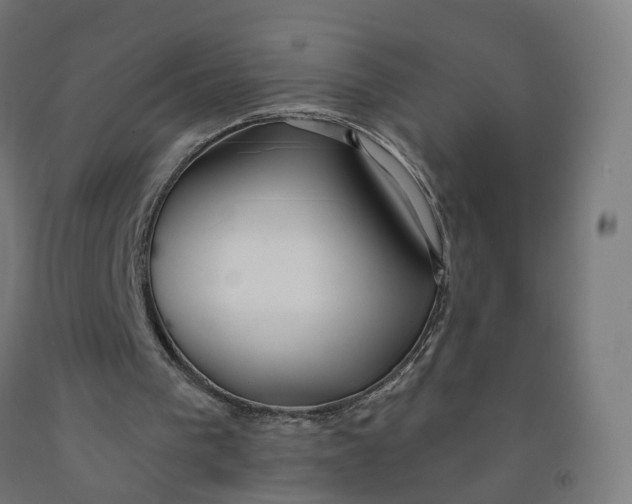 X0000091990193200709271454