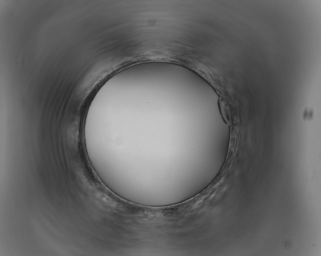 X0000091990194200709271454