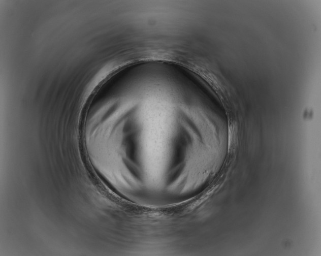 X0000091990195200709271454