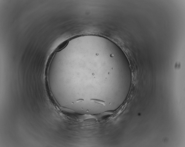 X0000091990196200709271454