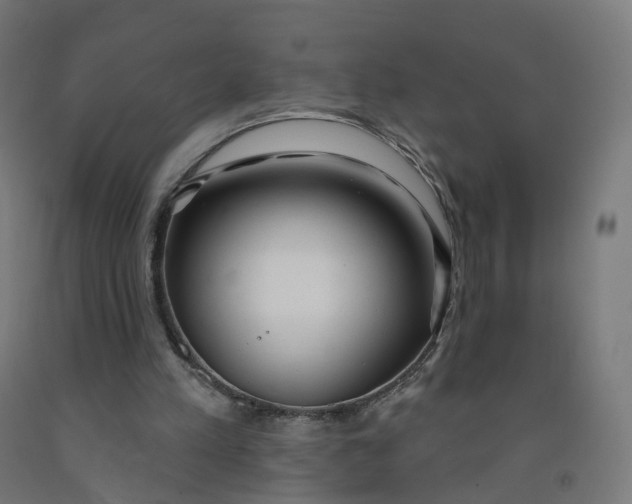 X0000091990197200709271454