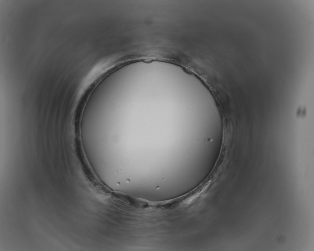 X0000091990198200709271454