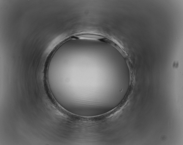 X0000091990199200709271454