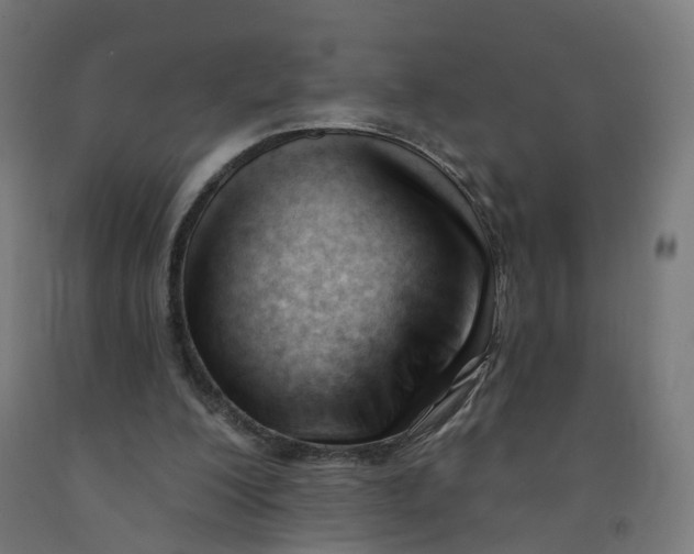 X0000091990200200709271454