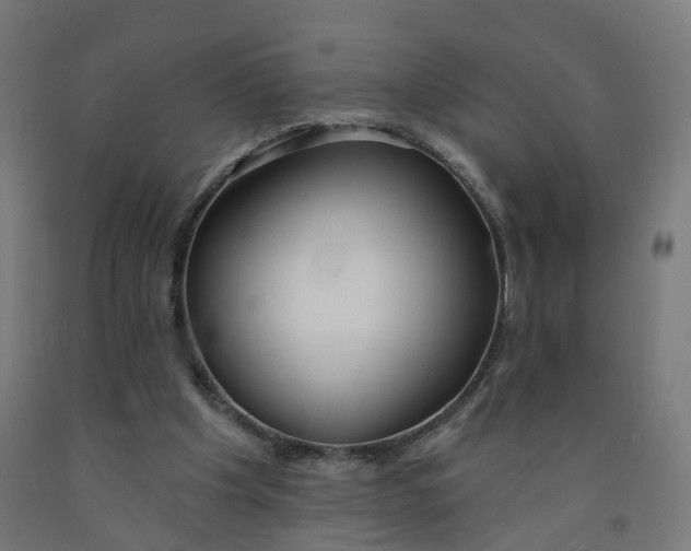 X0000091990201200709271454