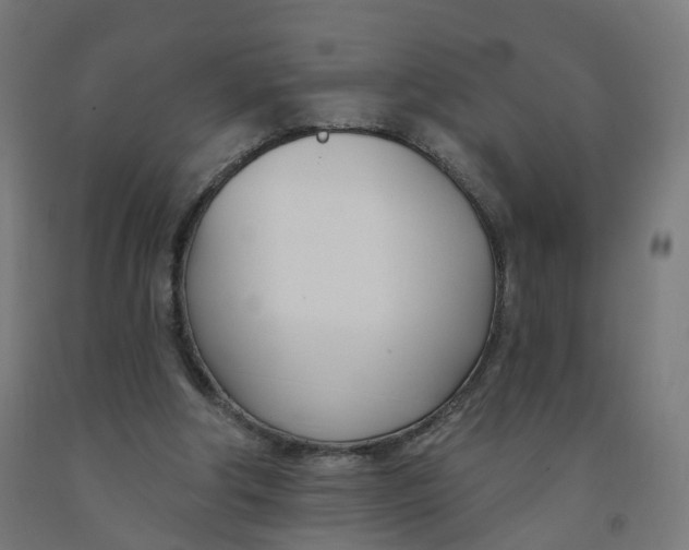 X0000091990202200709271454