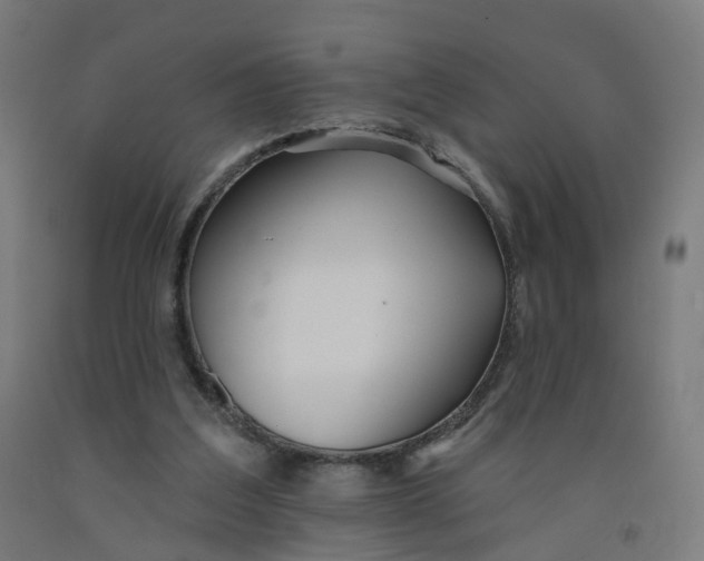 X0000091990203200709271454