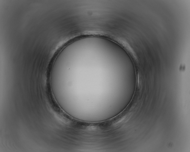 X0000091990204200709271454