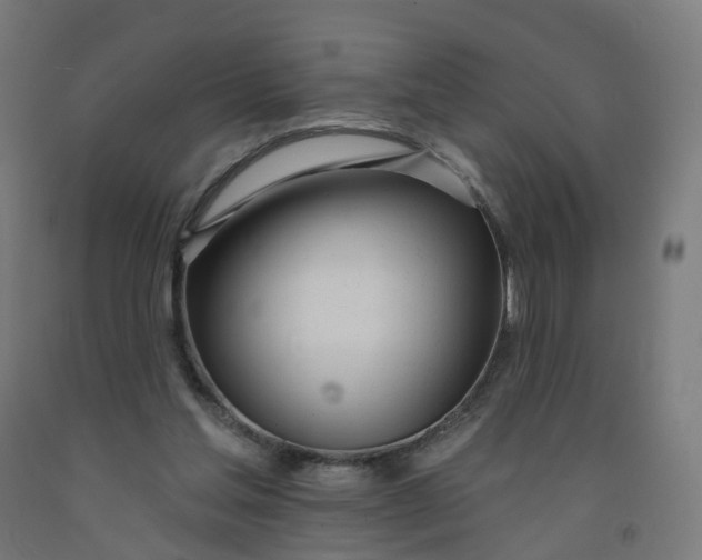 X0000091990205200709271454