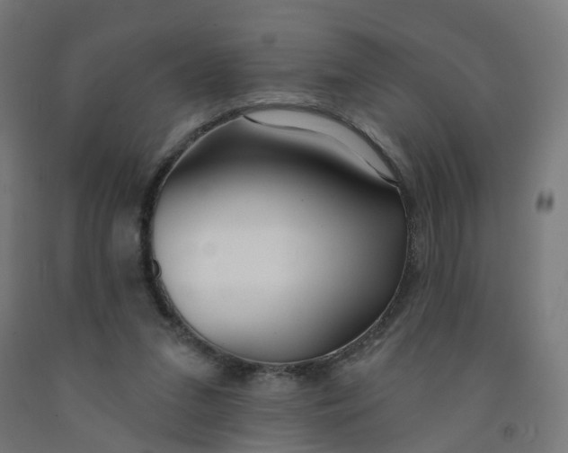 X0000091990207200709271454