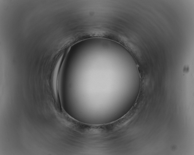 X0000091990209200709271454