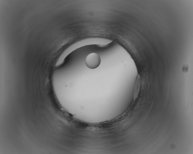 X0000091990211200709271454