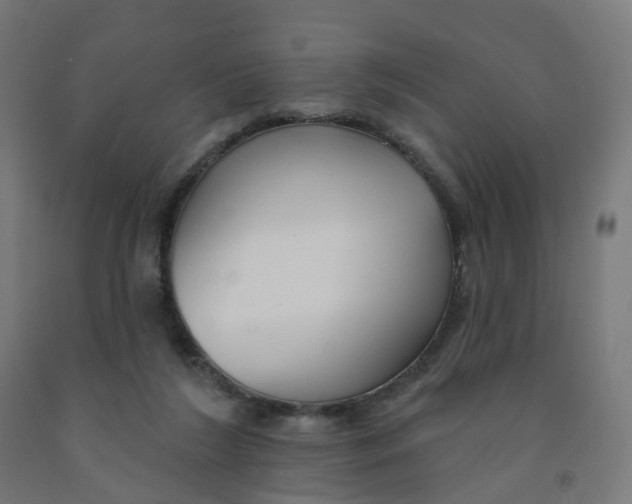 X0000091990212200709271454