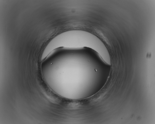 X0000091990213200709271454