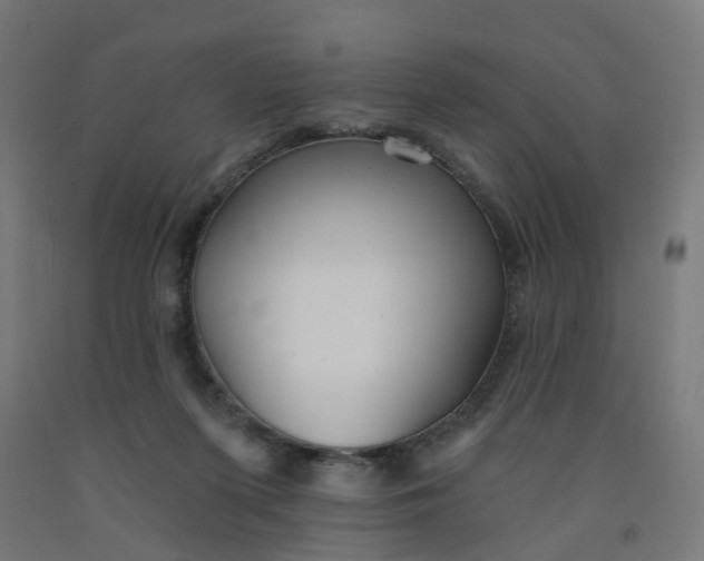 X0000091990215200709271454