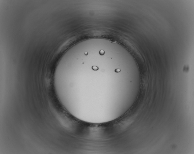 X0000091990216200709271454