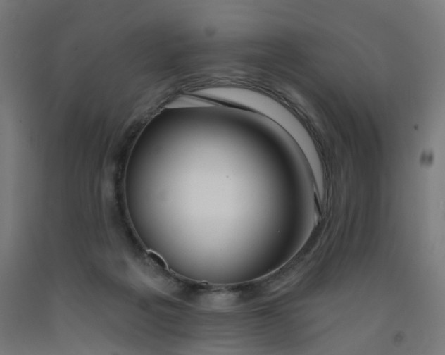 X0000091990217200709271454