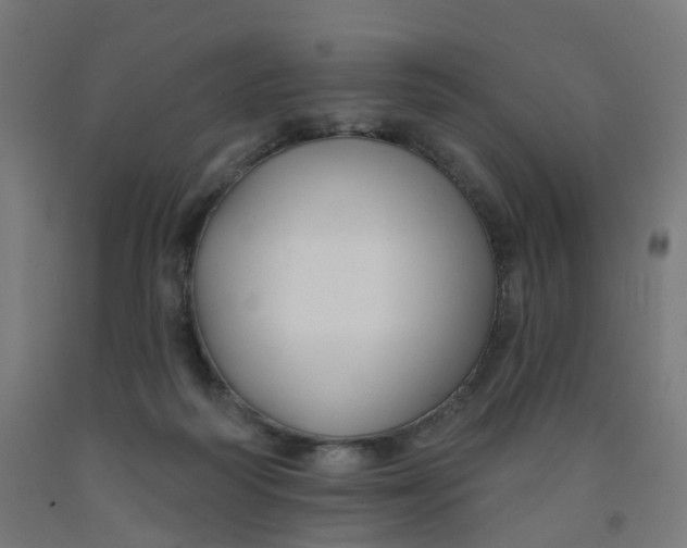 X0000091990218200709271454