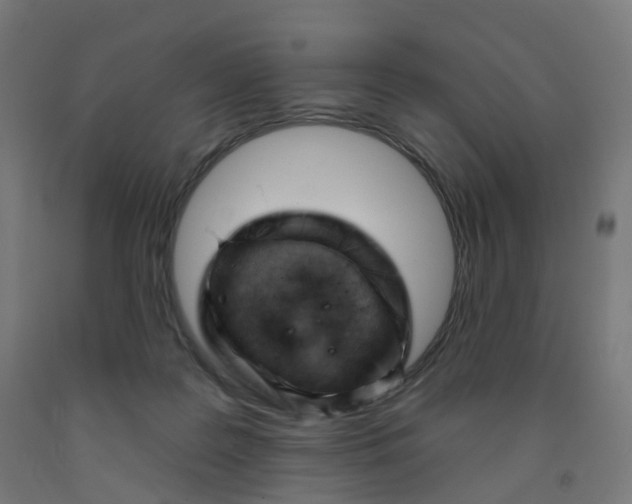 X0000091990219200709271454