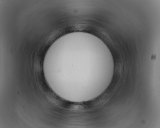 X0000091990220200709271454