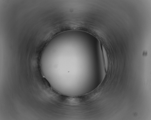 X0000091990221200709271454