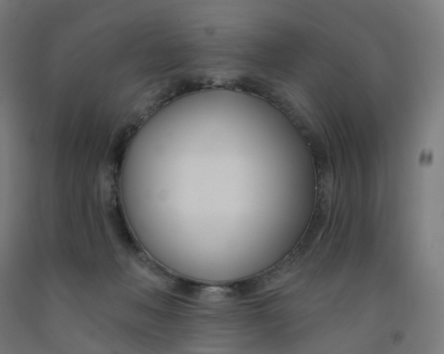 X0000091990222200709271454