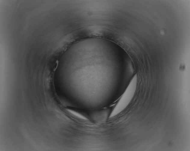 X0000091990223200709271454