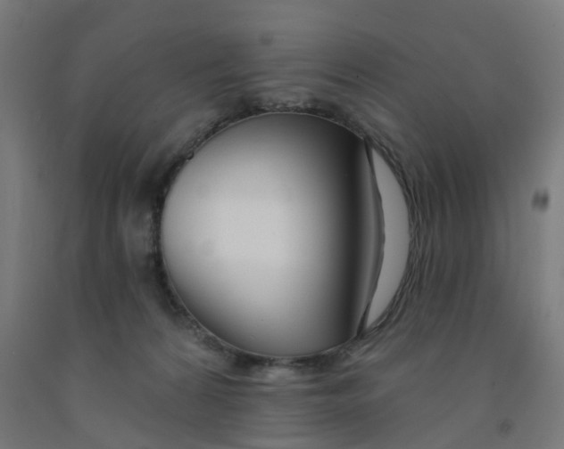 X0000091990224200709271454