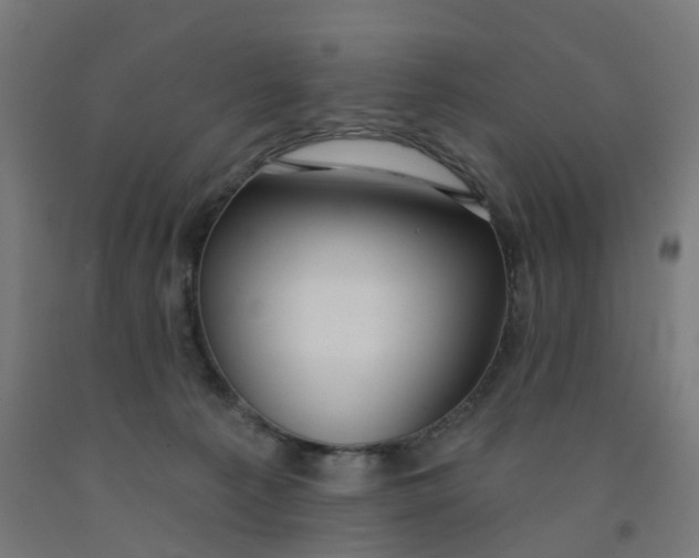 X0000091990225200709271454