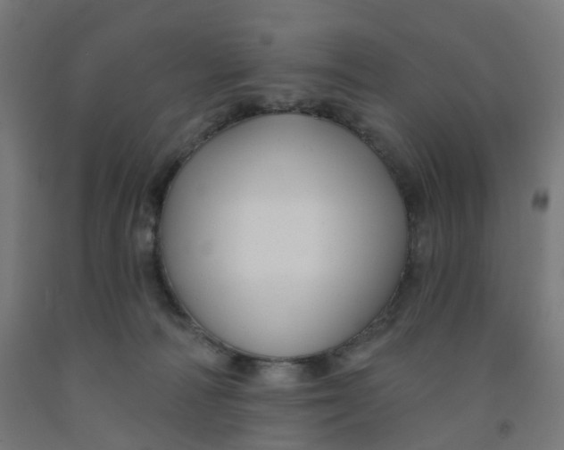 X0000091990226200709271454