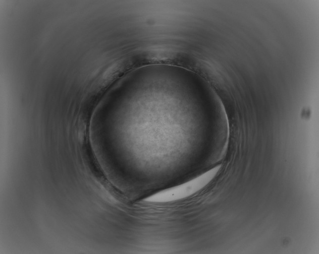 X0000091990227200709271454