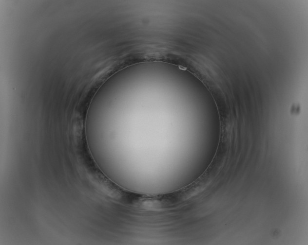 X0000091990228200709271454