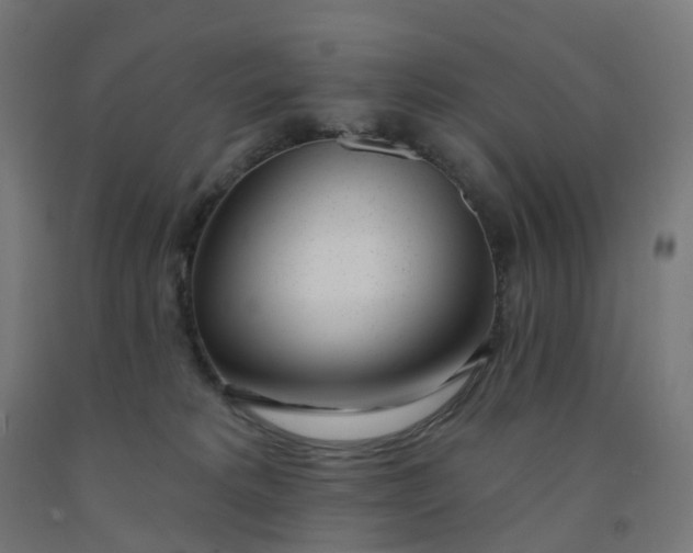 X0000091990229200709271454