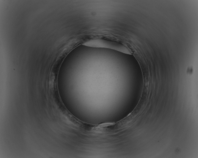 X0000091990231200709271454